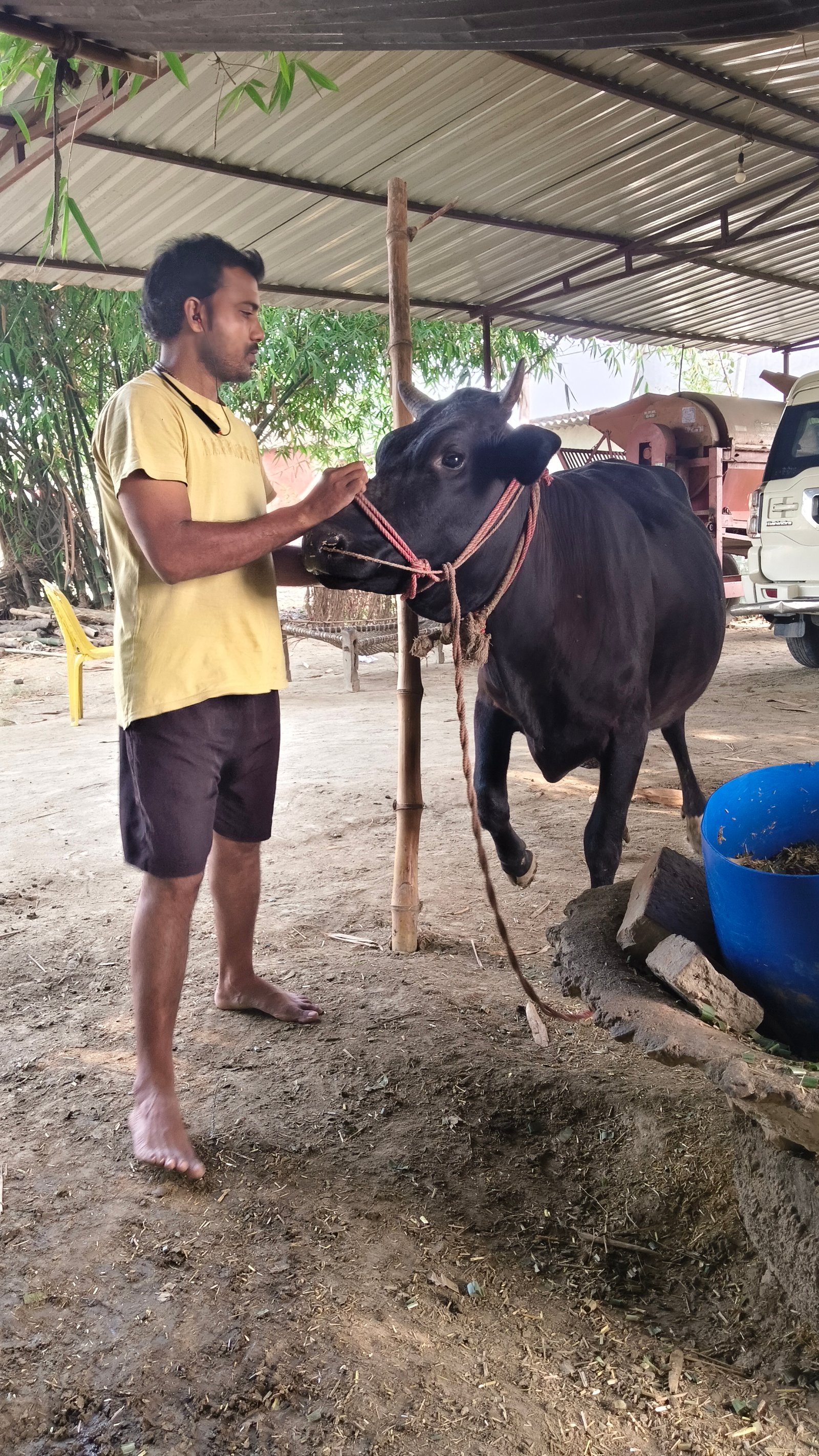 Pandav Seva Govind Dham Goushala Foundation